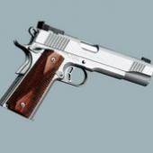 Stainless Gold Match II - 9mm/.45